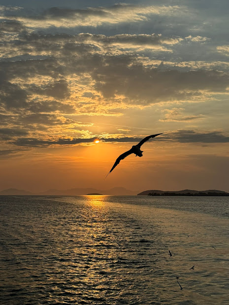 Paracadutismo Costa d'Argento casa erl gabbiano