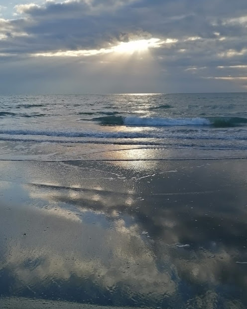 IMG_20240129_215429_395